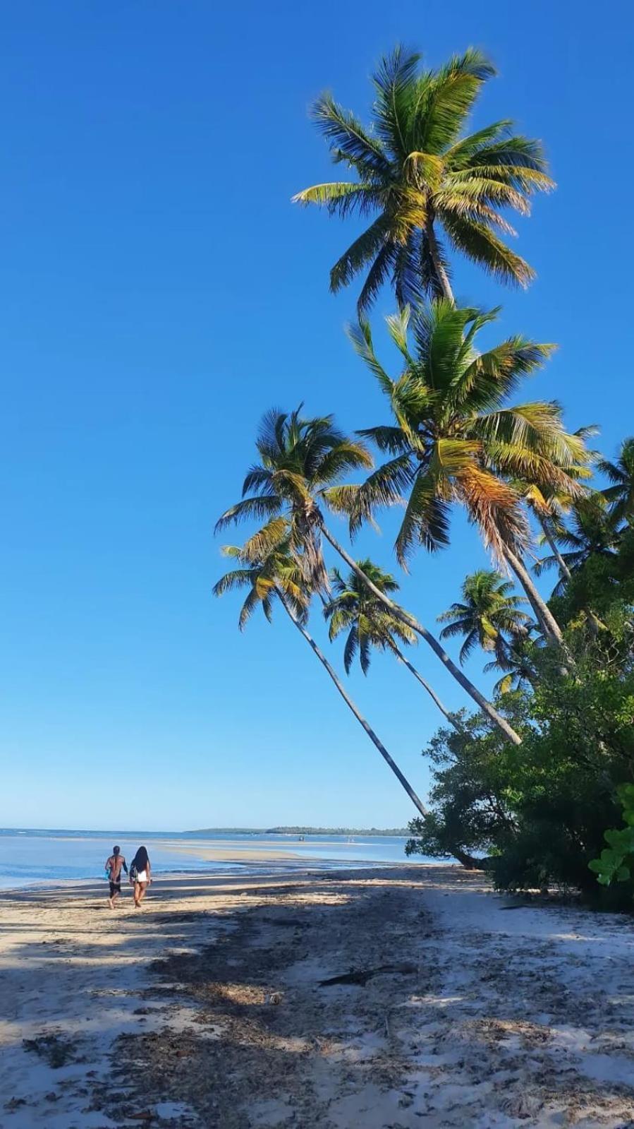 Pousada Village Feliz Boipeba Velha Boipeba Eksteriør billede